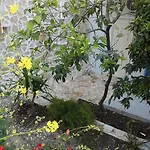 Akrotiri 3* فاسيليكي