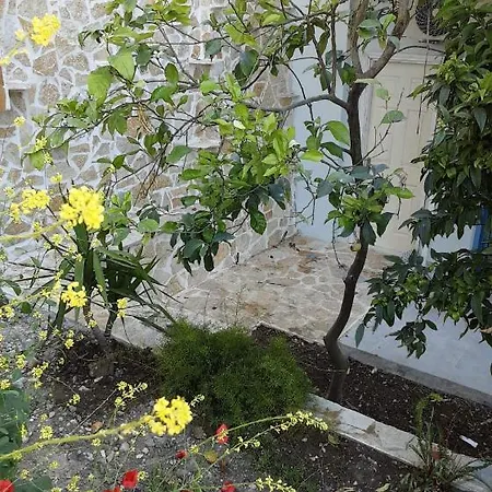 Akrotiri 3* Vaszilikí
