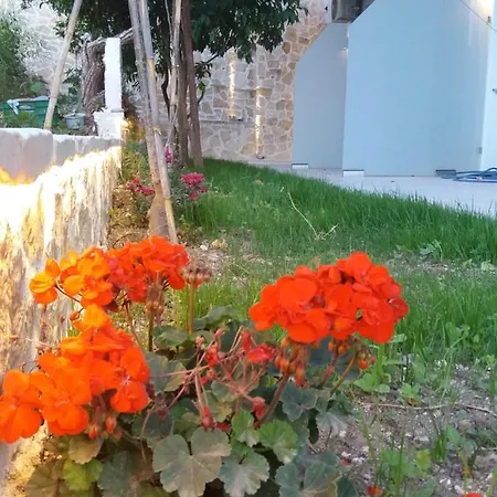 Panzió Akrotiri Vaszilikí