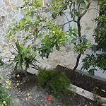 Akrotiri