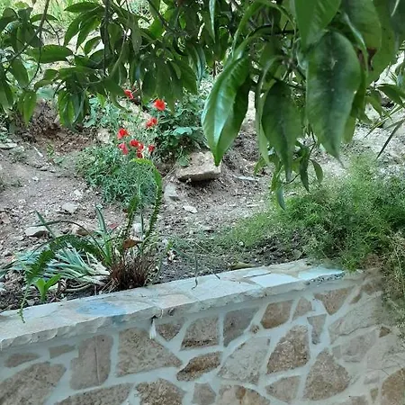 Akrotiri לינה וארוחת בוקר