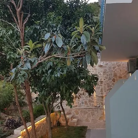 לינה וארוחת בוקר Akrotiri ואסיליקי